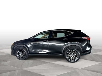 2024 Lexus NX 250 NX 250