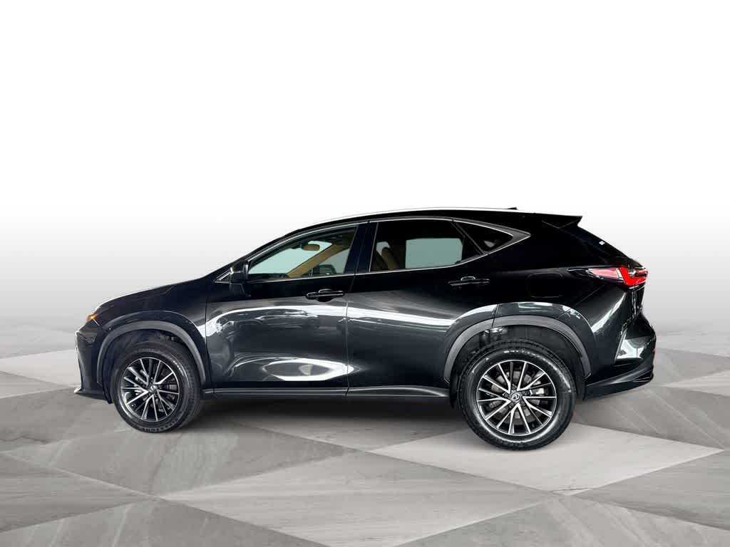 2024 Lexus NX 250 NX 250