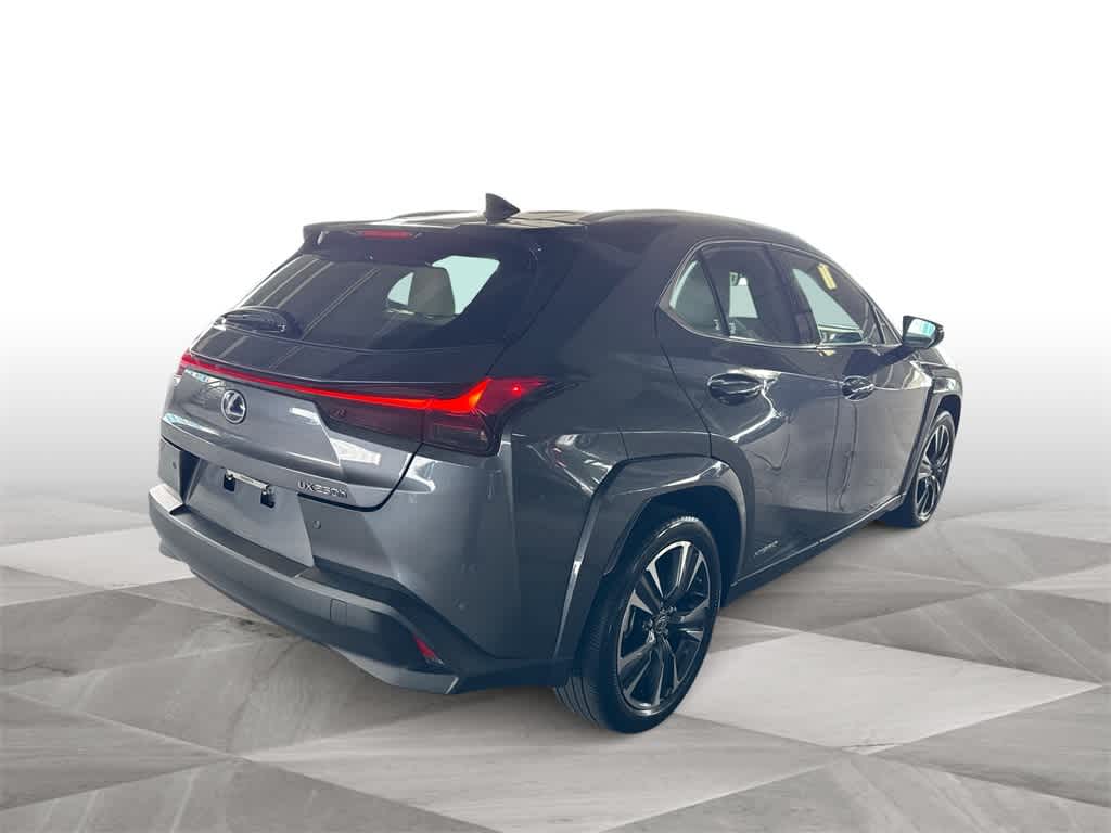2022 Lexus UX UX 250h