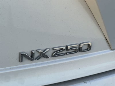 2024 Lexus NX NX 250