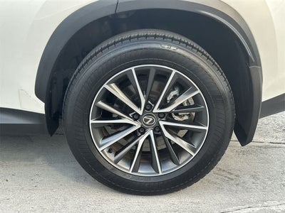 2024 Lexus NX NX 250