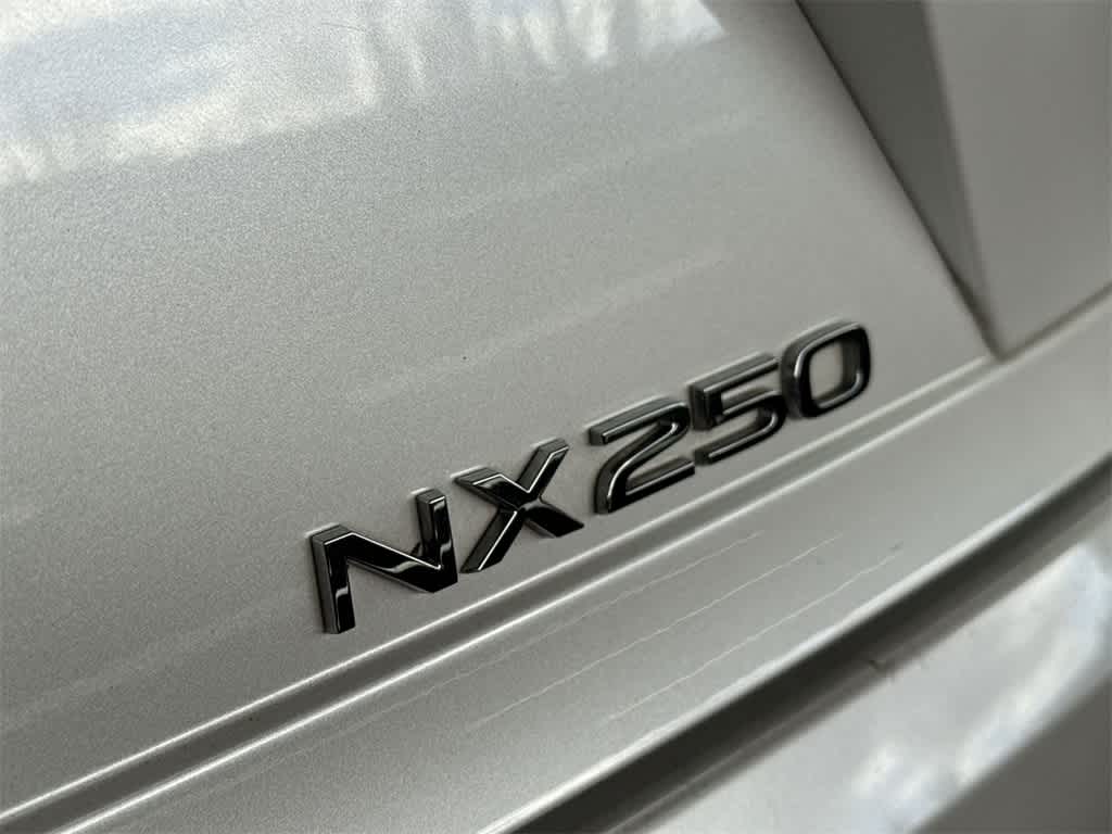 2024 Lexus NX NX 250