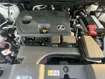 2024 Lexus NX NX 250