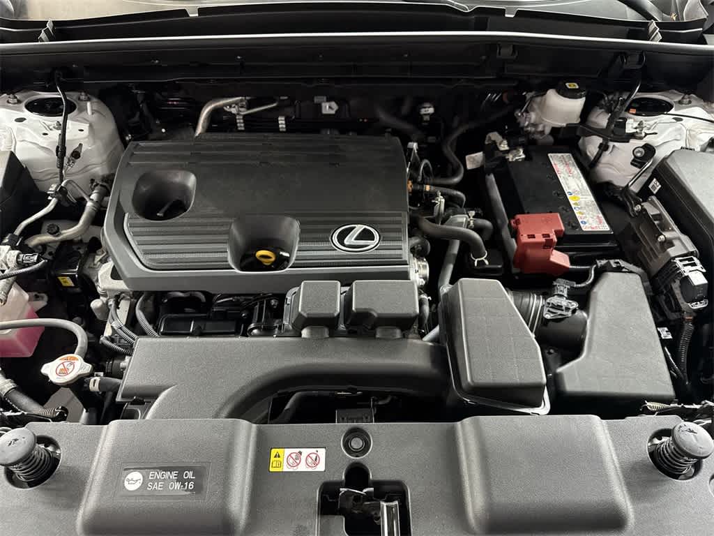 2024 Lexus NX NX 250