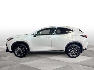 2024 Lexus NX NX 250