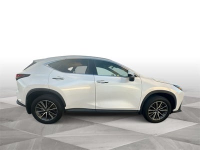 2024 Lexus NX NX 250