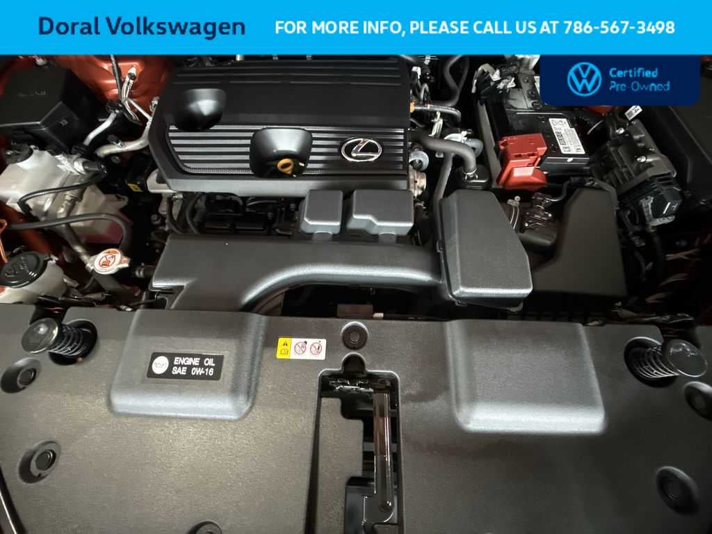 2024 Lexus NX 250 NX 250