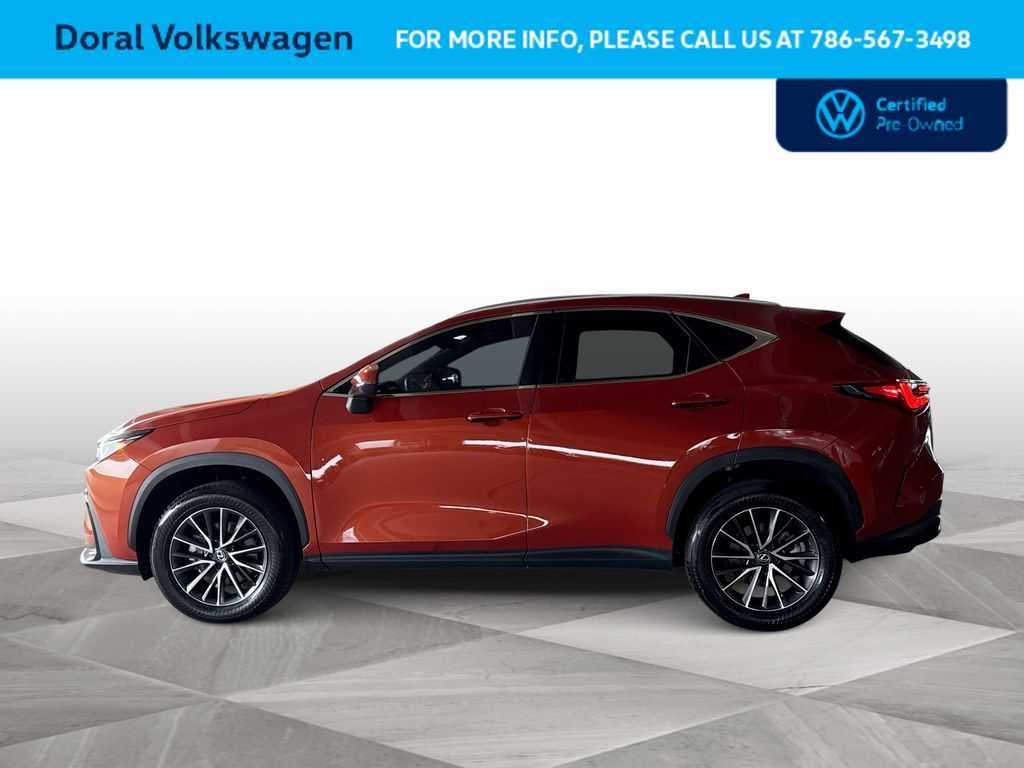 2024 Lexus NX 250 NX 250