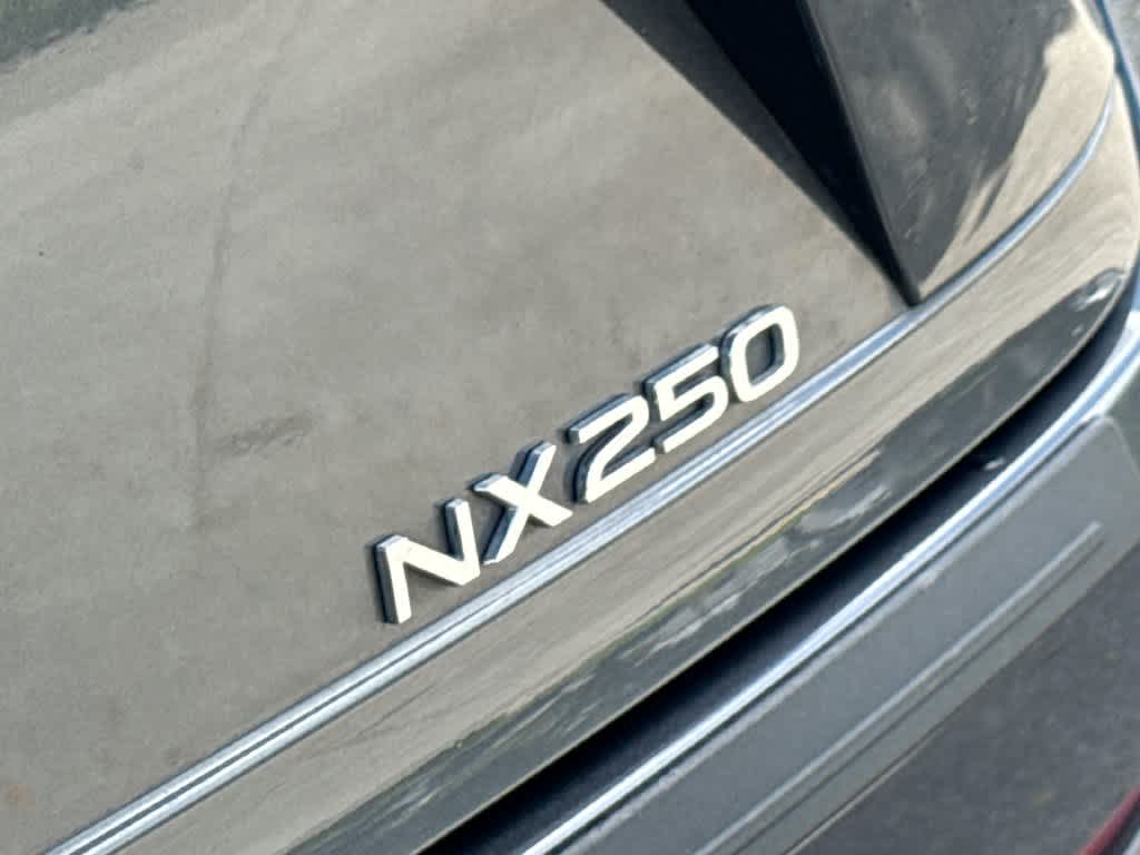 2024 Lexus NX 250 Premium