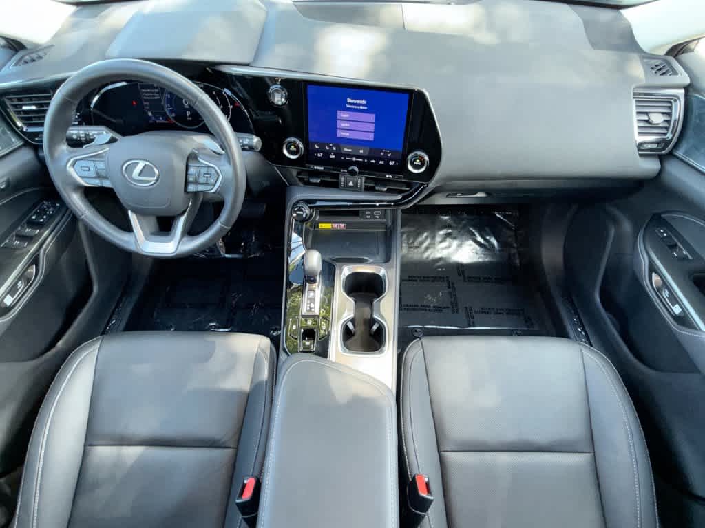 2024 Lexus NX 250 Premium