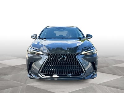 2024 Lexus NX 250 Premium