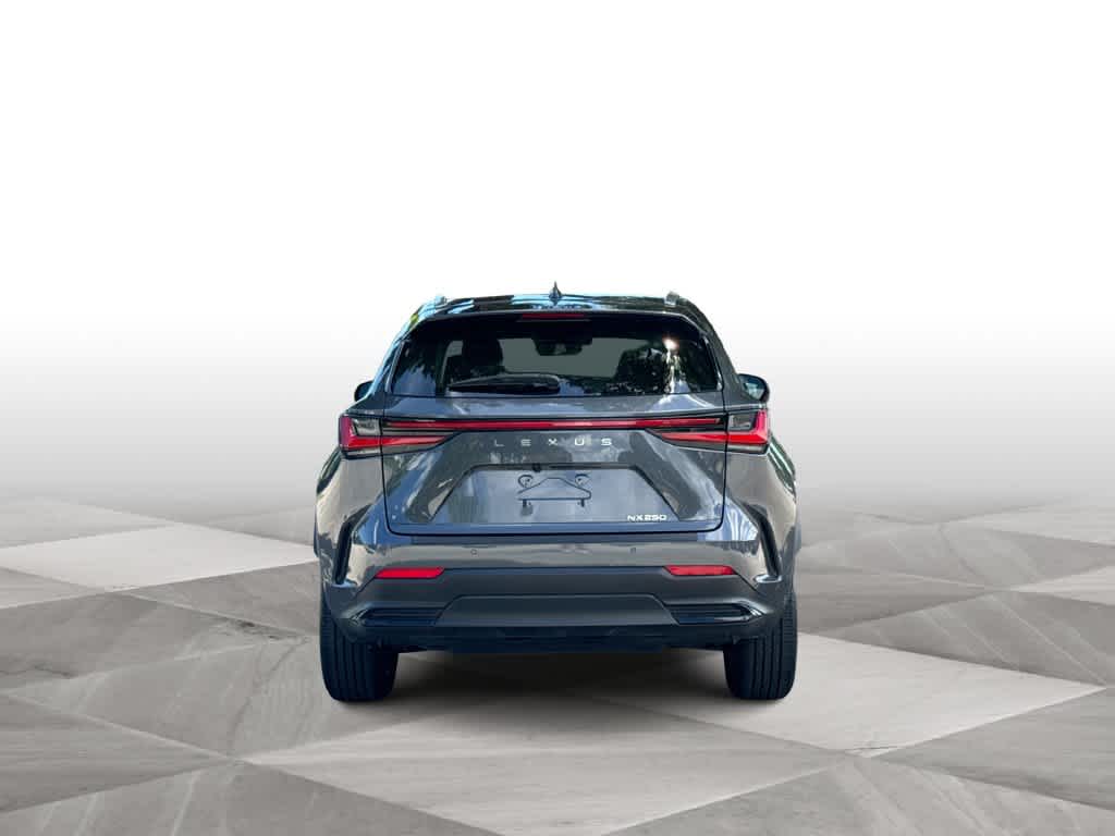 2024 Lexus NX 250 Premium