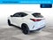 2024 Lexus NX F SPORT Handling