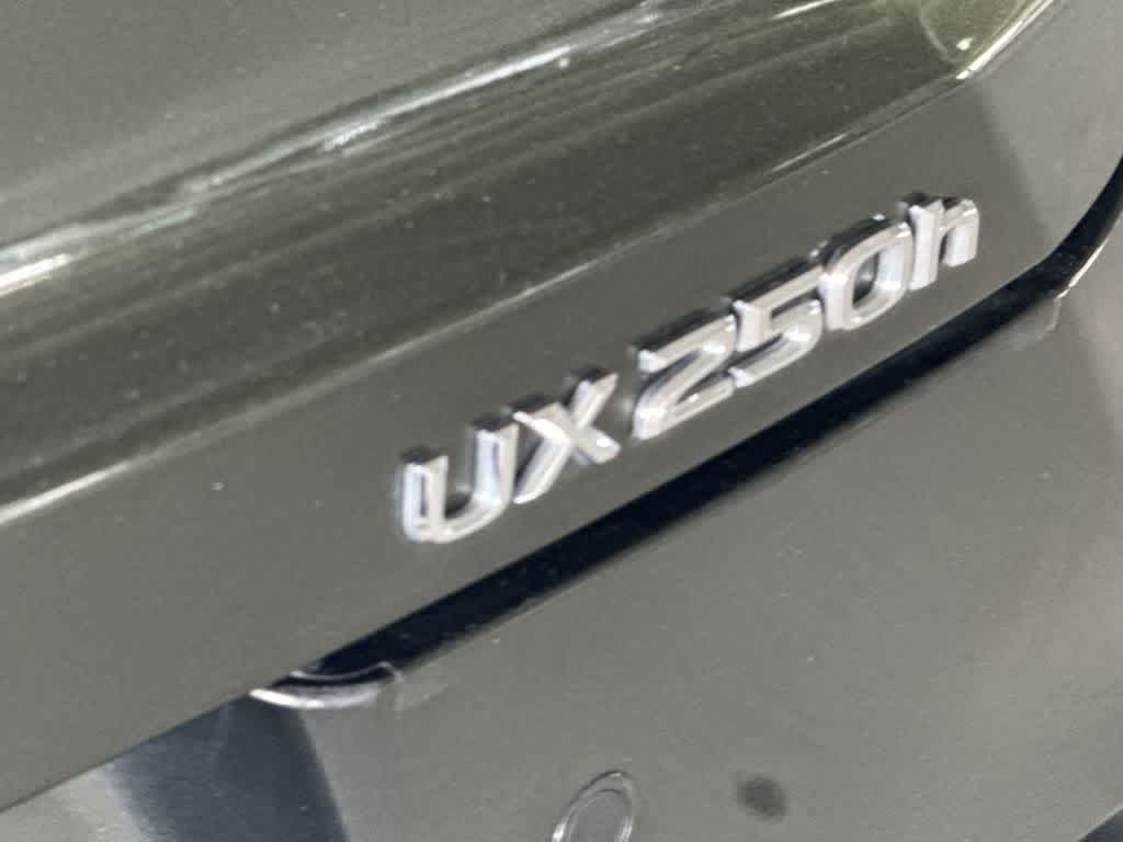 2024 Lexus UX 250h UX 250h