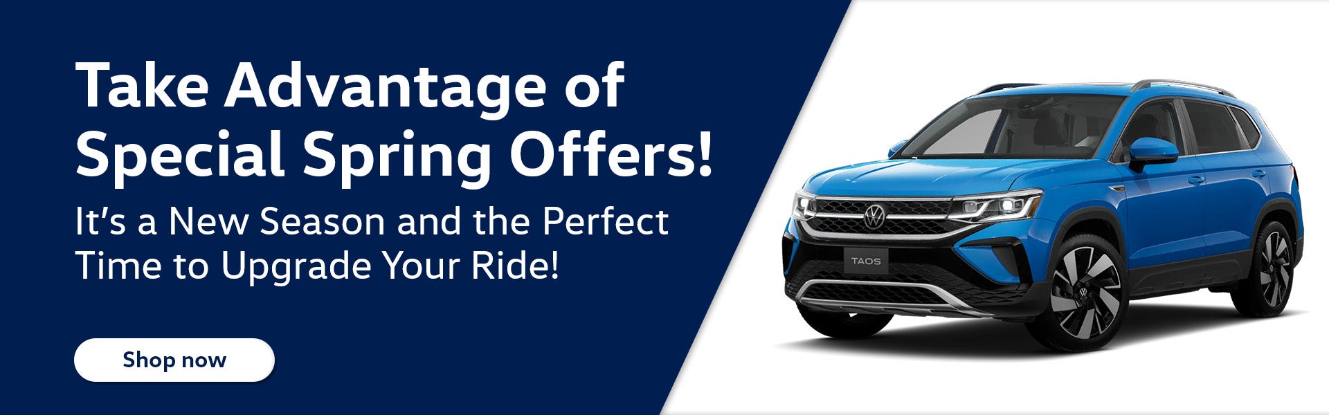 Special Spring Offers!